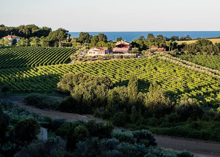 B&B - Uva Residence Fano